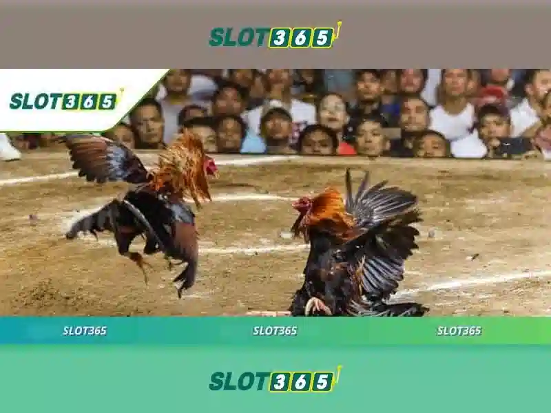 Bảo mật và an toàn