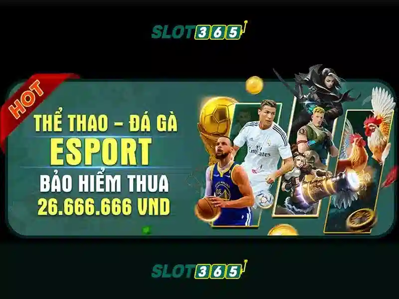 Slot365: Tổng quan về nền tảng máy slot trực tuyến