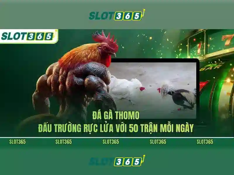 Các tính năng nổi bật của Slot365