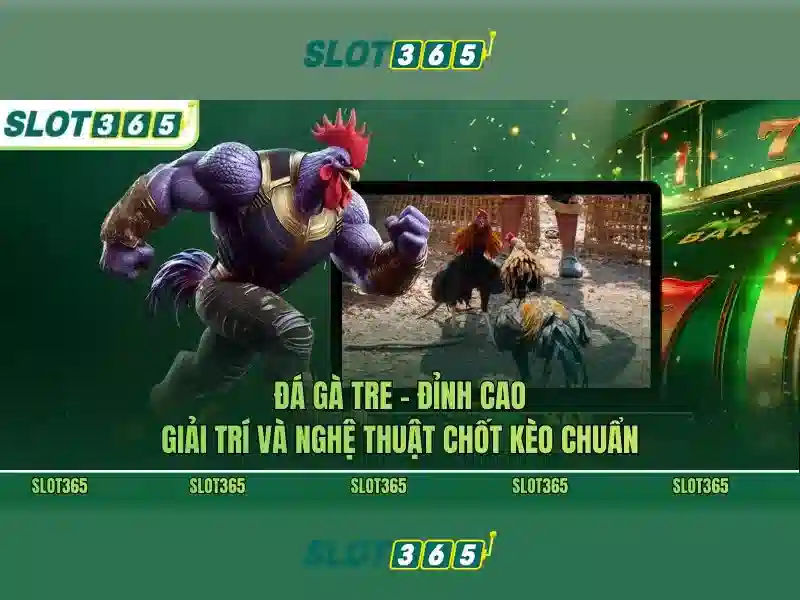 Kết luận Kết luận