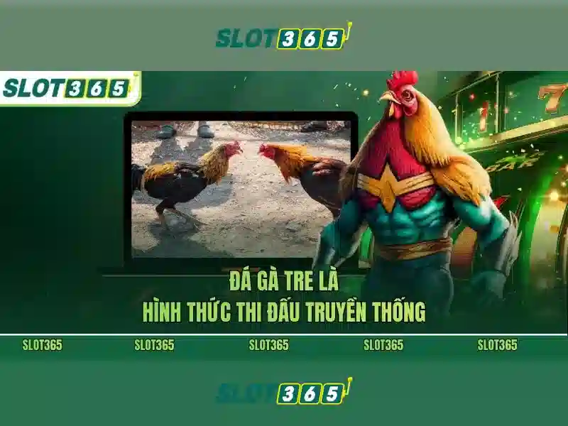 An toàn và thanh toán tại Slot365 An toàn và thanh toán tại Slot365