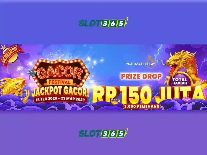 Slot365 là gì? Slot365 là gì?