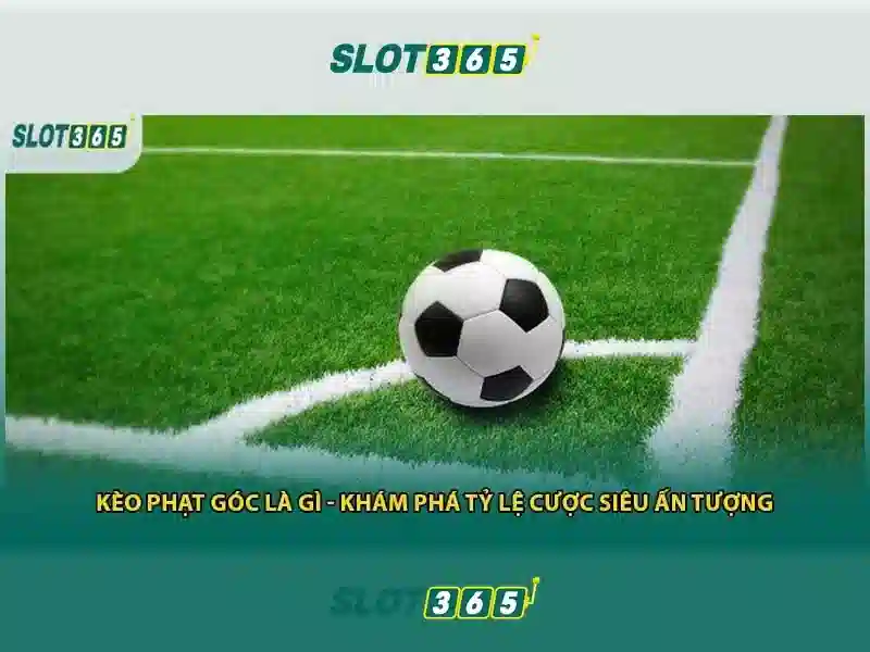 Slot365: Nền tảng trò chơi trực tuyến uy tín và tiện ích