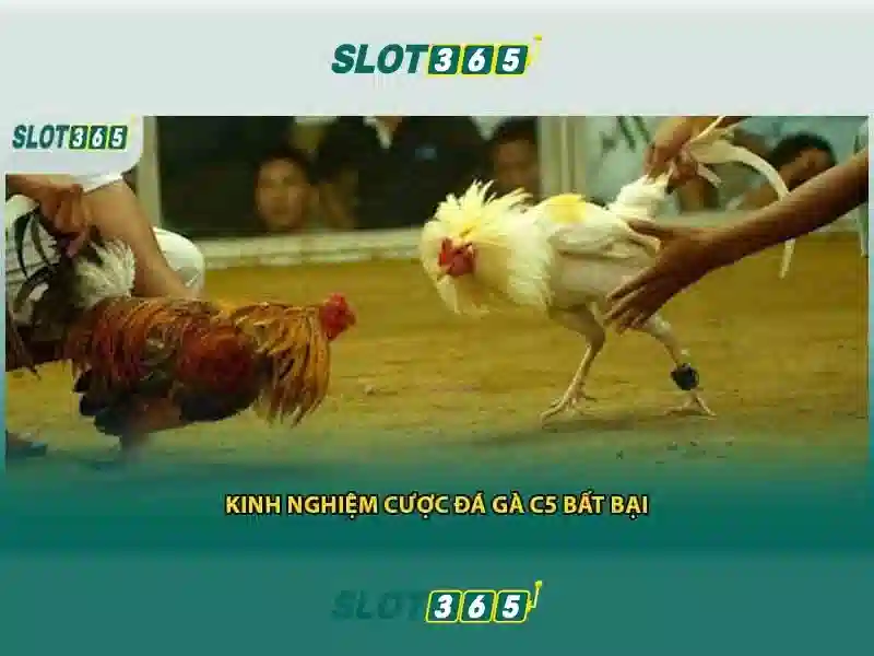 Mẹo chơi bắn cá 3 cây dễ ăn tiền nhà cái