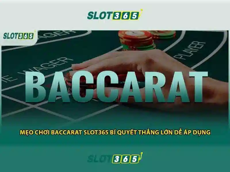 Slot365: Nền tảng slot trực tuyến an toàn và đáng tin cậy