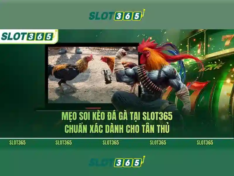 Slot365 - Nha cai slot online danh cho nguoi yeu slot