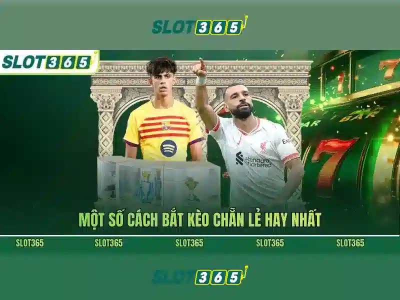 Các trò chơi slot phổ biến tại Slot365 Các trò chơi slot phổ biến tại Slot365