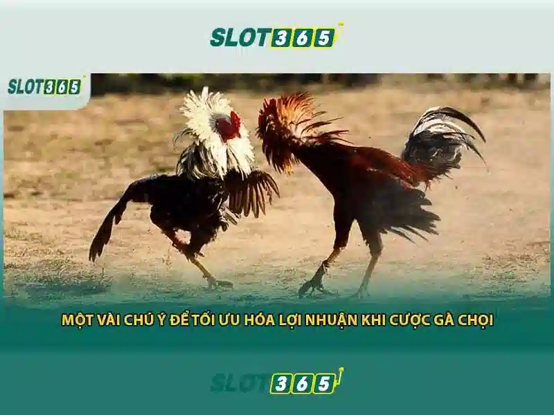 Slot365 là gì?