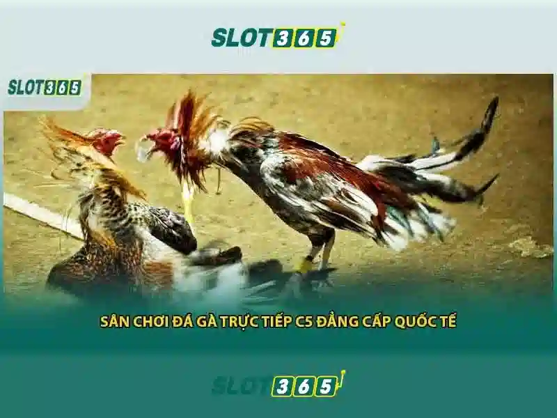 An toàn và khuyến nghị chơi có trách nhiệm An toàn và khuyến nghị chơi có trách nhiệm