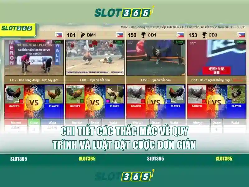 An toàn và tin cậy khi tham gia Slot365 An toàn và tin cậy khi tham gia Slot365