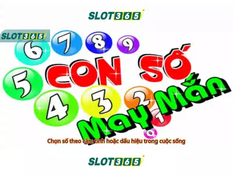 live slot365 – Trải nghiệm đánh bạc trực tuyến tối ưu