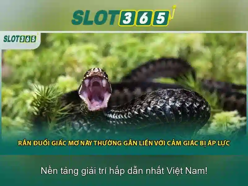 Slot365 là gì Slot365 là gì