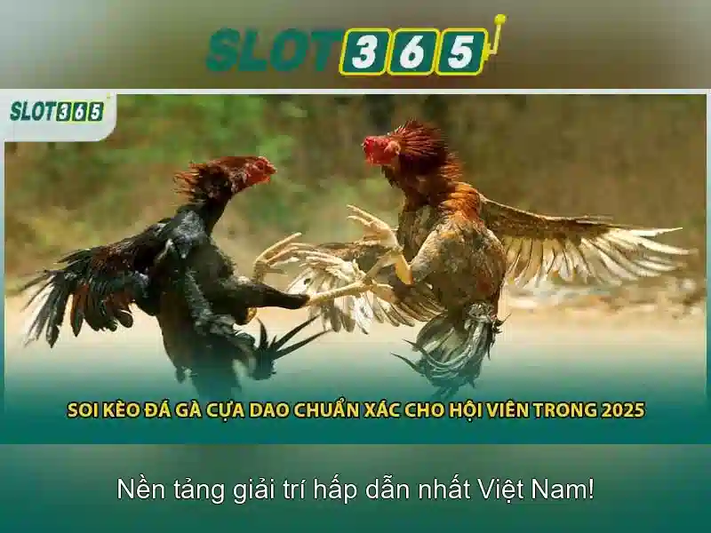 Slot365 là nền tảng slot trực tuyến hàng đầu
