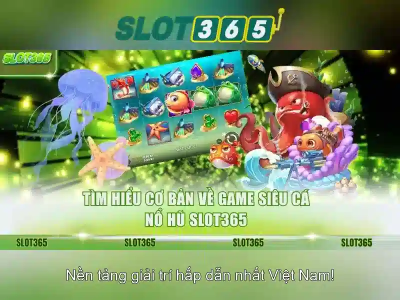 Slot365 là gì và tai sao nó dạn đứng đầu?