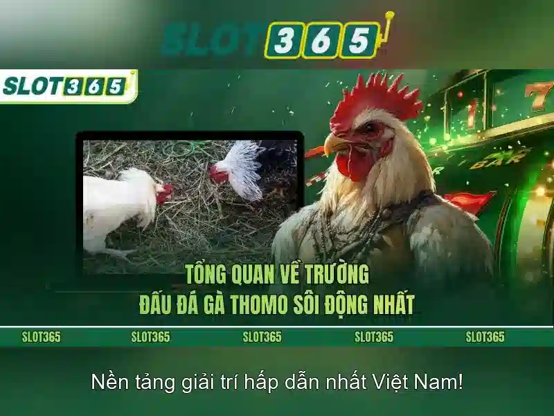 Các tính năng nổi bật Các tính năng nổi bật