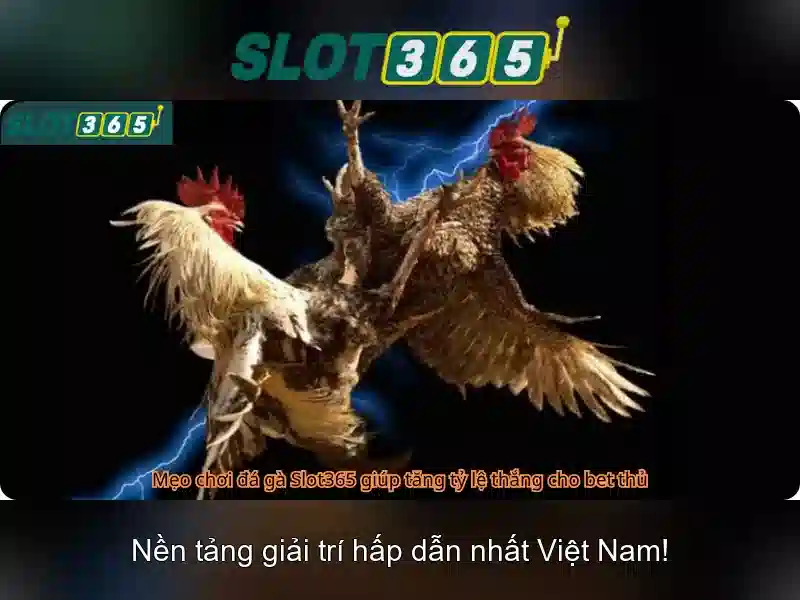 Giới thiệu về Slot365 Giới thiệu về Slot365