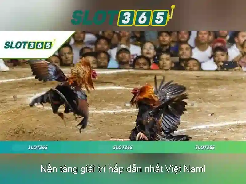 slot365 game – tổng quan chủ đề và giá trị cốt lõi