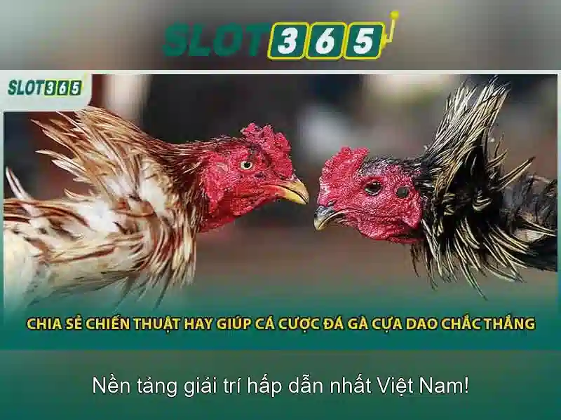 Slot365: Tổng quan về nền tảng đánh cược slot trực tuyến nổi bật