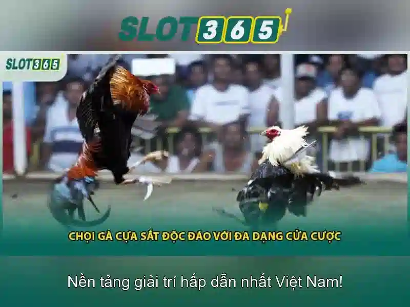 Slot365: Nền tảng máy xèng trực tuyến hàng đầu