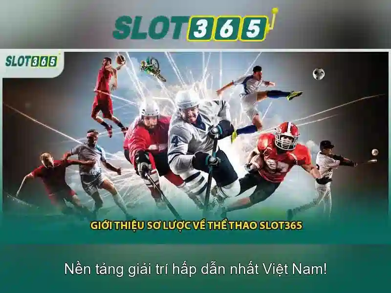 Hỗ trợ khách hàng và thanh toán