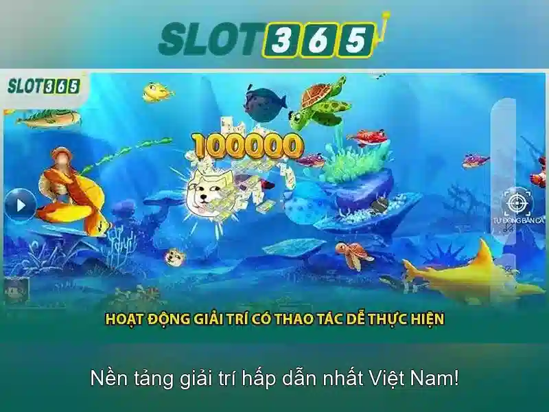 Kết luận