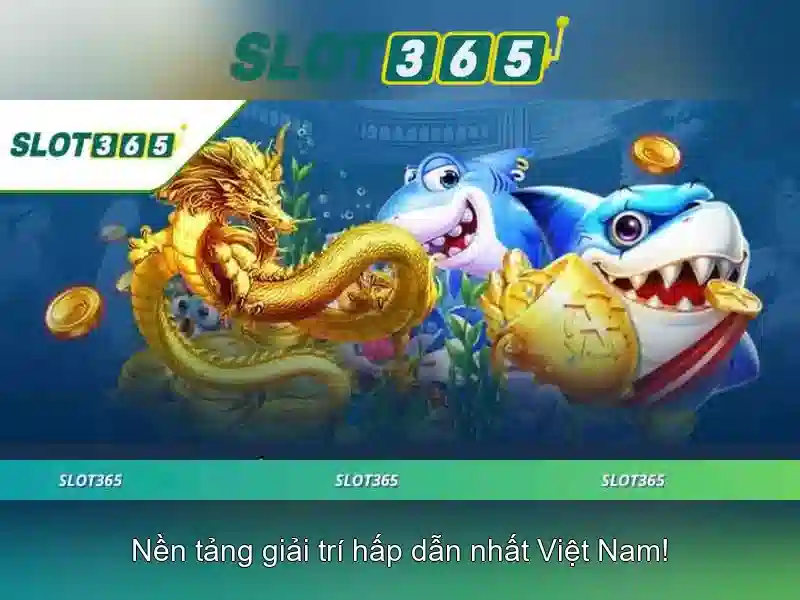 Khuyến mãi và chương trình thưởng Khuyến mãi và chương trình thưởng