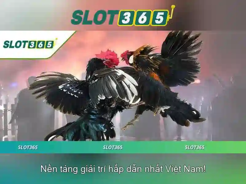 Slot365 - Đánh giá nền tảng slot trực tuyến
