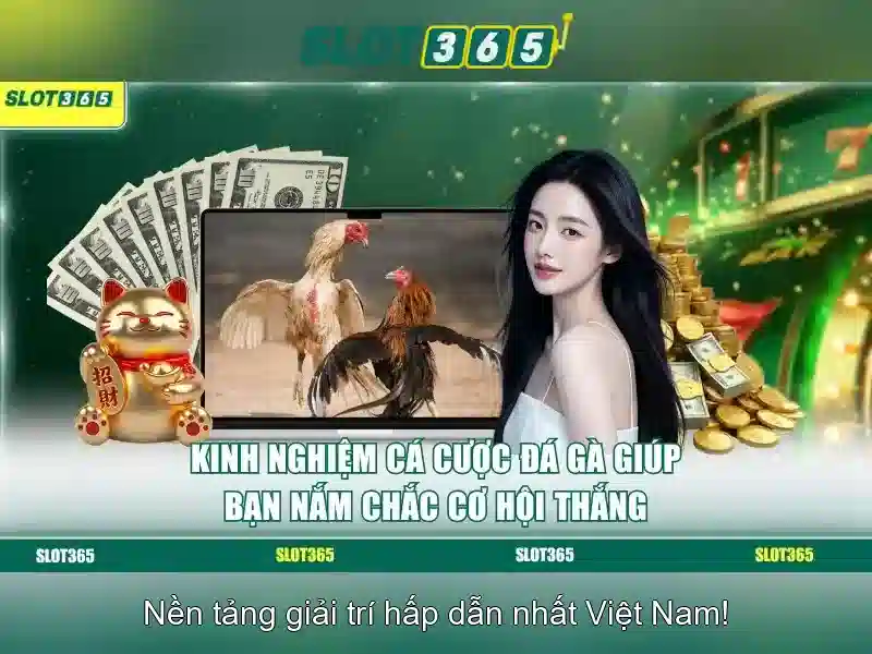Giới thiệu về Slot365 Giới thiệu về Slot365