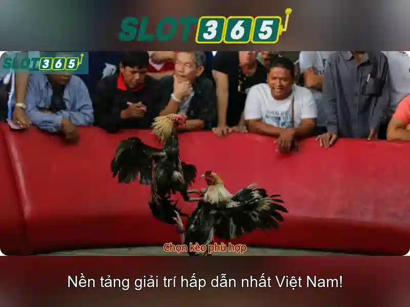 Slot365: Đánh giá, trò chơi và trải nghiệm người dùng