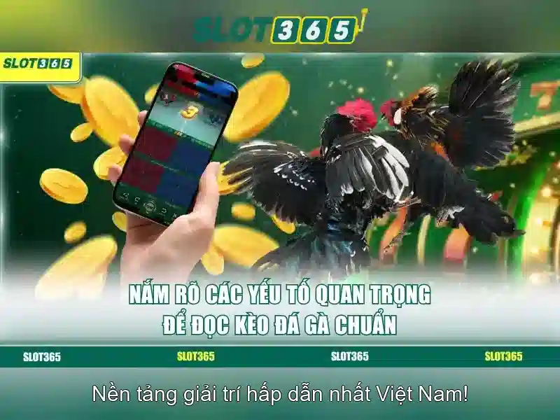 Slot365: Tổng quan về nền tảng slot trực tuyến