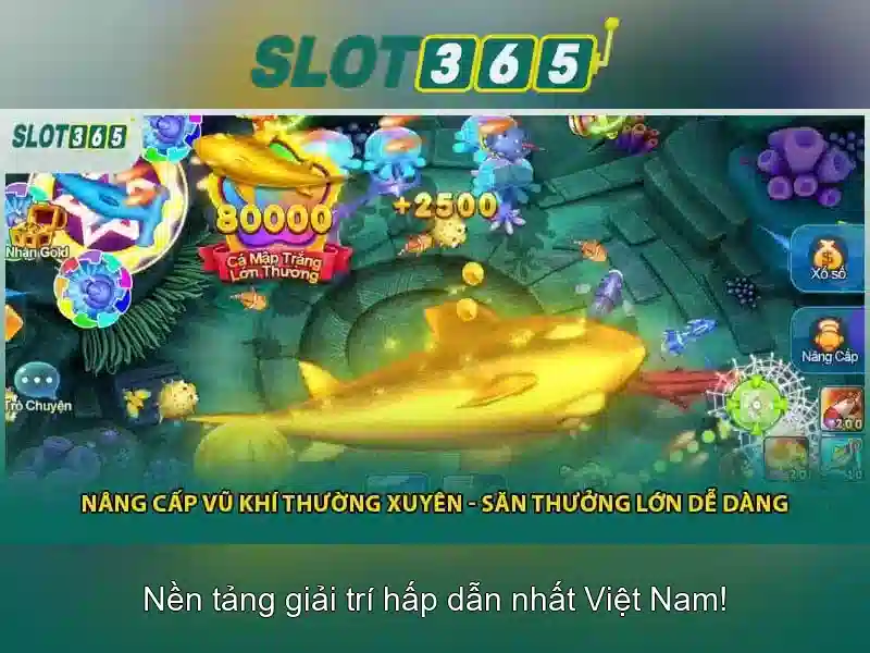 Slot365 - Tổng quan về nền tảng slot trực tuyến
