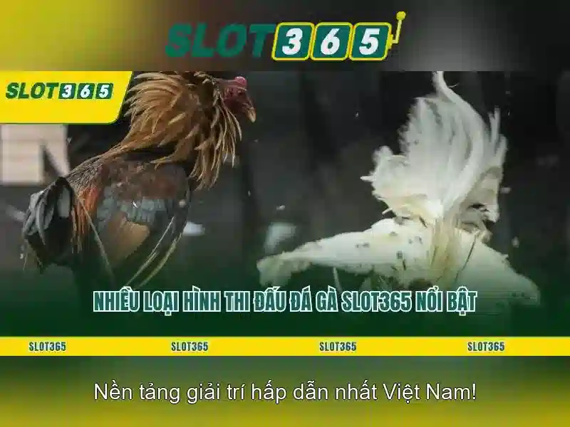 Trò chơi slot đa dạng tại Slot365 Trò chơi slot đa dạng tại Slot365