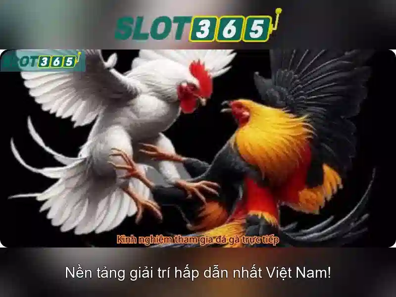 Slot365: Trải nghiệm cược slots trực tuyến đáng tin cậy