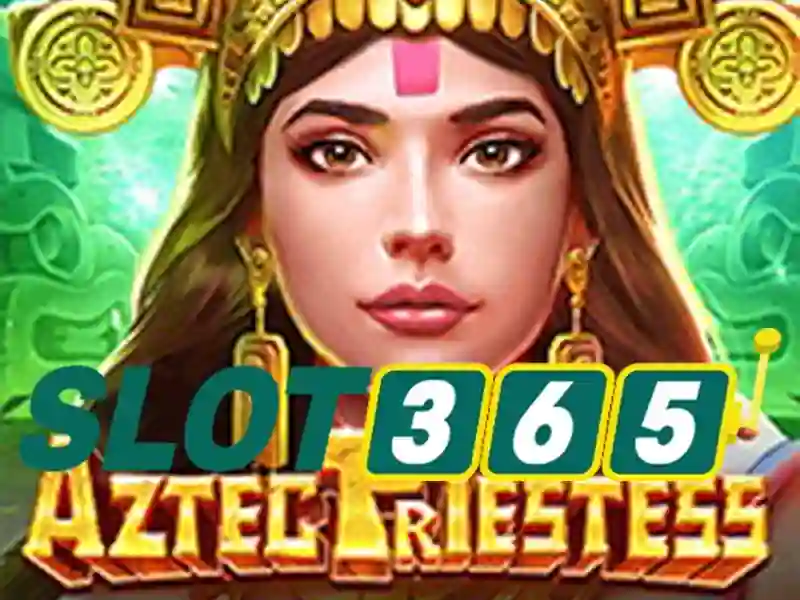 Slot365 là gì?
